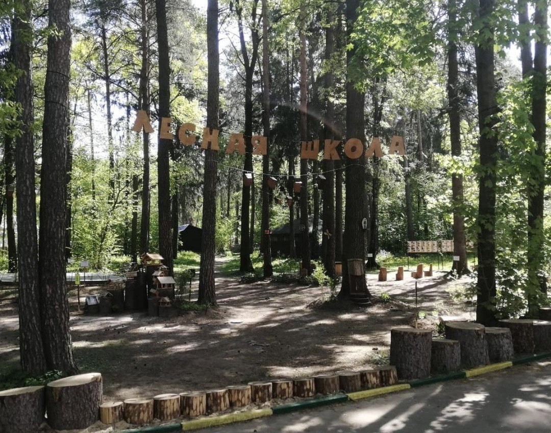 Лесной парк