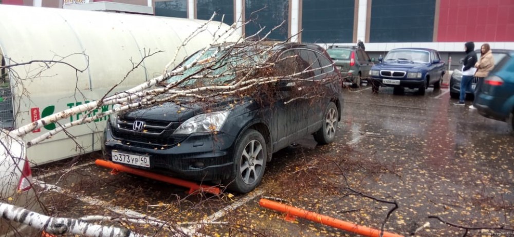 В Обнинске после падения дерева на машины пострадали два маленьких ребенка