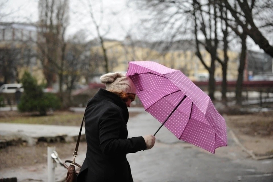 В Обнинске собирают сломанные зонты, чтобы сделать из них сумки