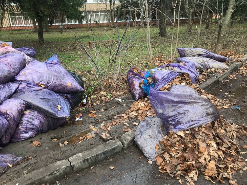 В Обнинске не все УК убрали листья во дворах