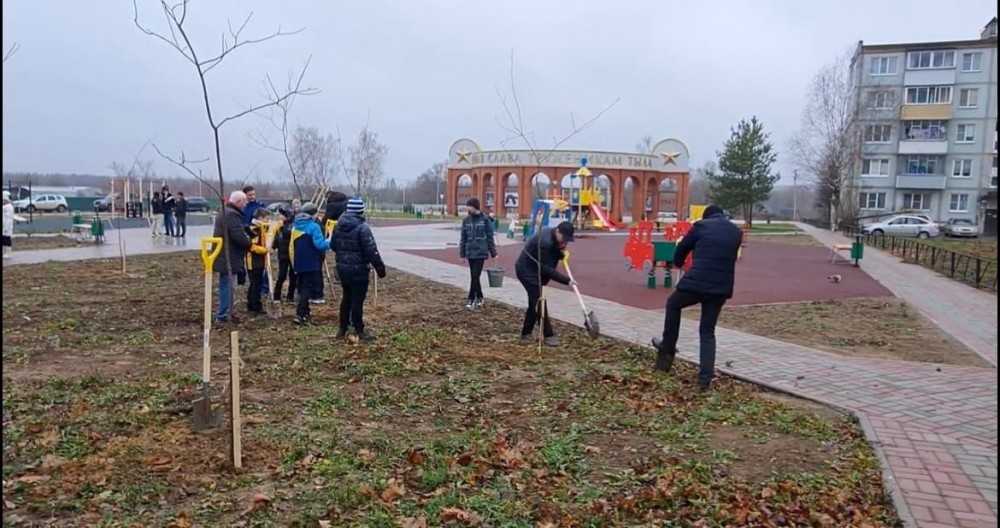 В Парке Победы Малоярославецкого района высадили аллею из туй и кленов
