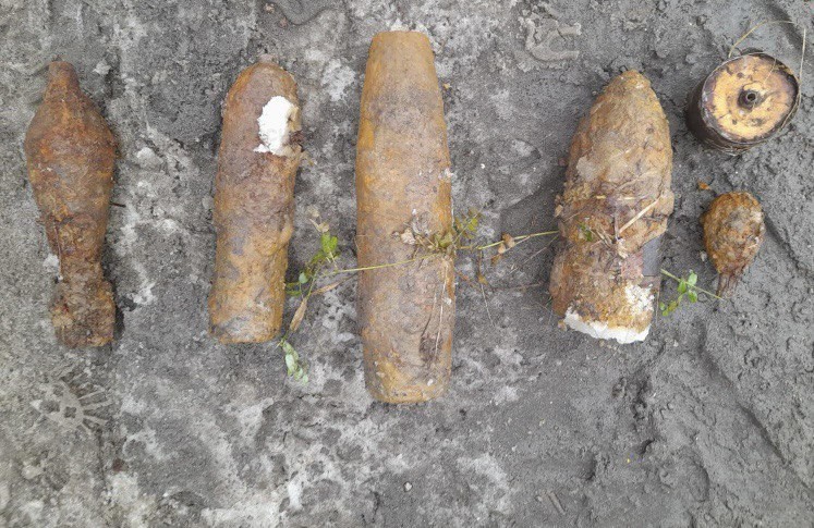 В обнинском лесу нашли боеприпасы