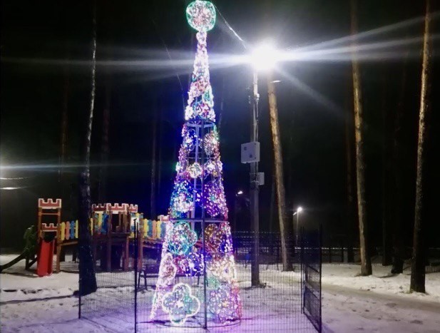 В Жукове установили новогоднюю елку