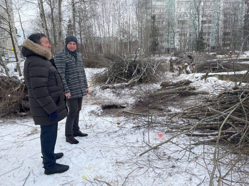 В Жуковском районе во время благоустройства территории вырубили деревья