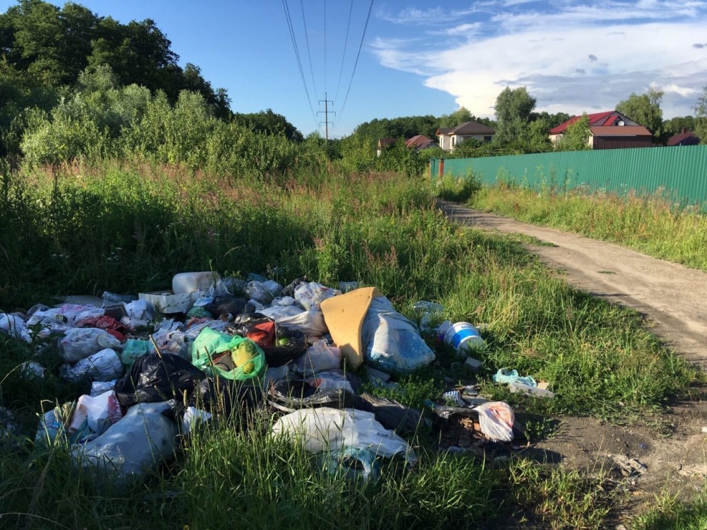 СНТ «Ромашка» в Белоусове зарастает в мусоре 