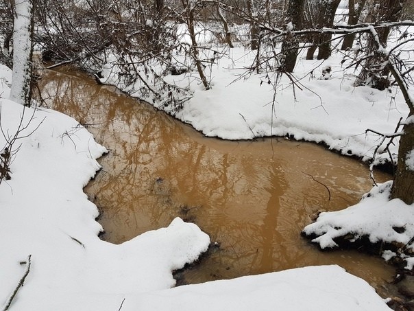 Жителей Калужской области напугал коричневый цвет воды в обнинском ручье