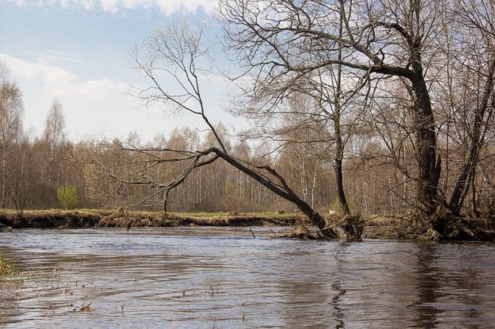 МЧС Калужской области предупредило об опасном уровне воды в Протве 