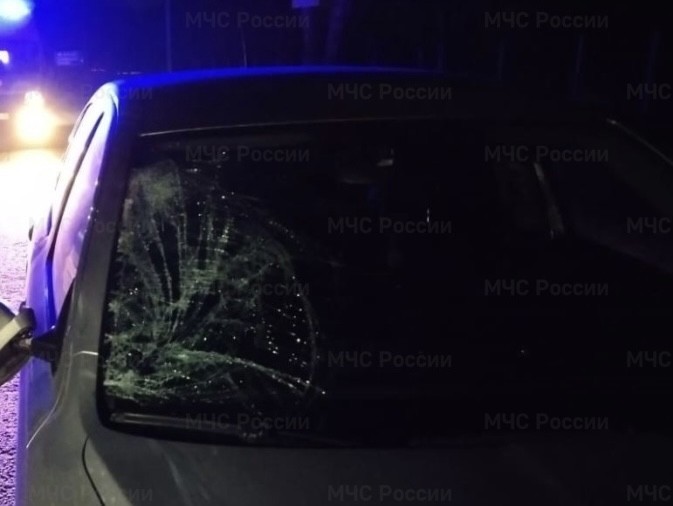 Водитель «Шкоды» сбил пешехода в Боровске