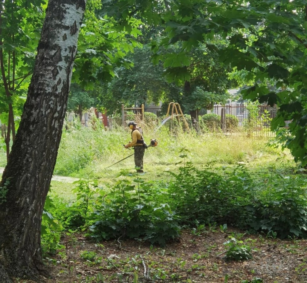 Коммунальщики все-таки покосили траву на заросшей детской площадке возле мэрии Обнинска