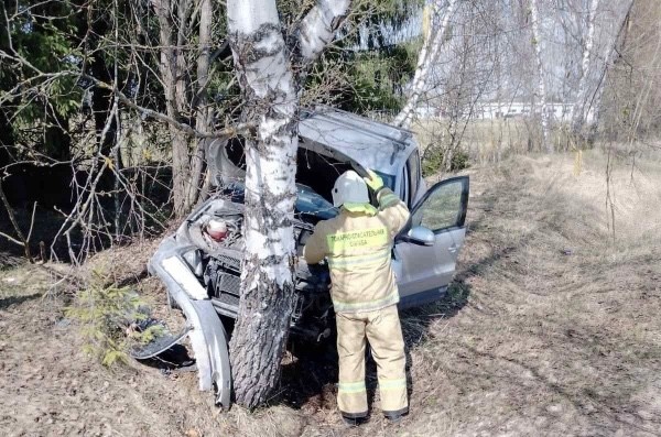 Иномарка улетела в кювет и врезалась в дерево в Калужской области 