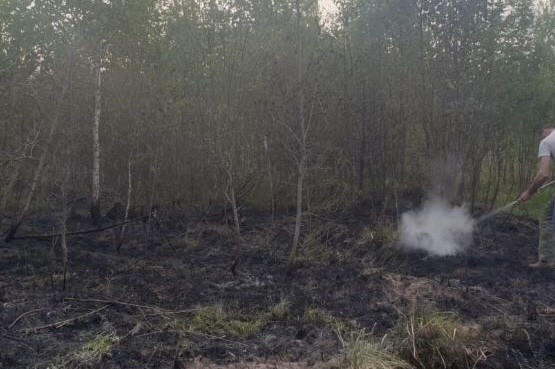 Лесной пожар произошел в Калужской области 