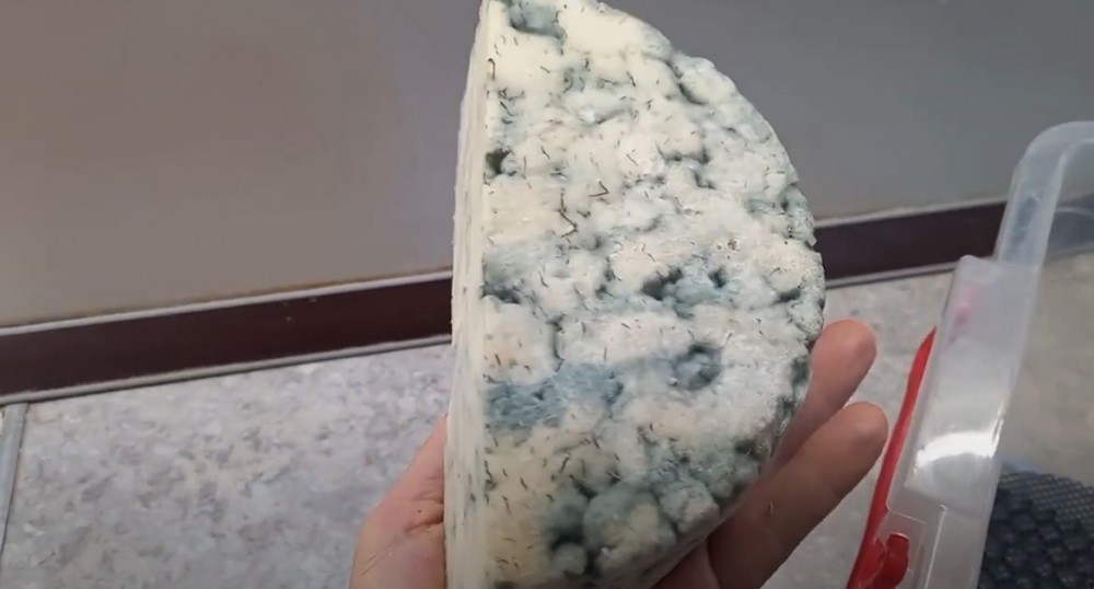 В Обнинске уничтожили сыр из Германии