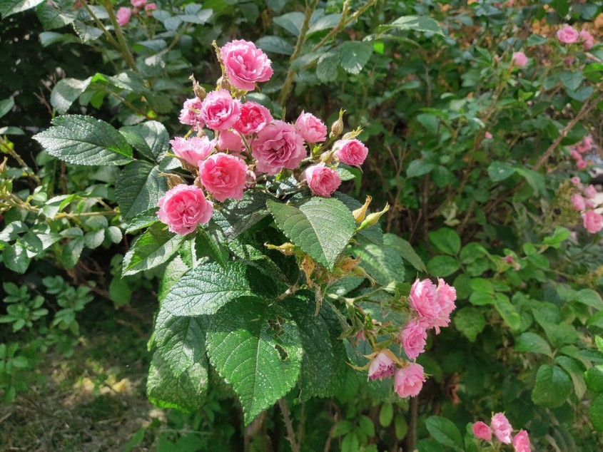 В Обнинске потеплеет 25 июля - Обнинск - Новости - Калужский ...