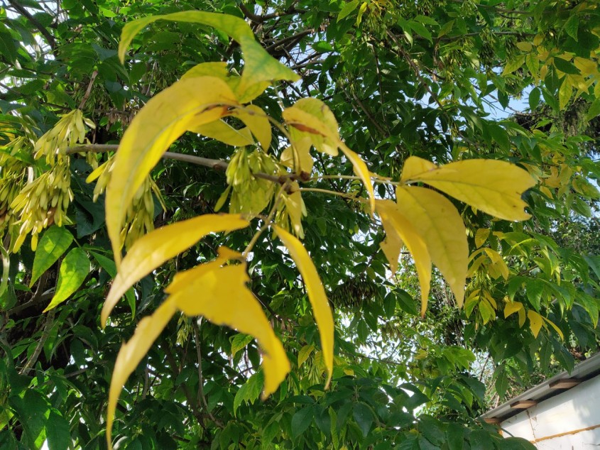 Теплую погоду обещают в Обнинске - Обнинск - Новости - Калужский ...