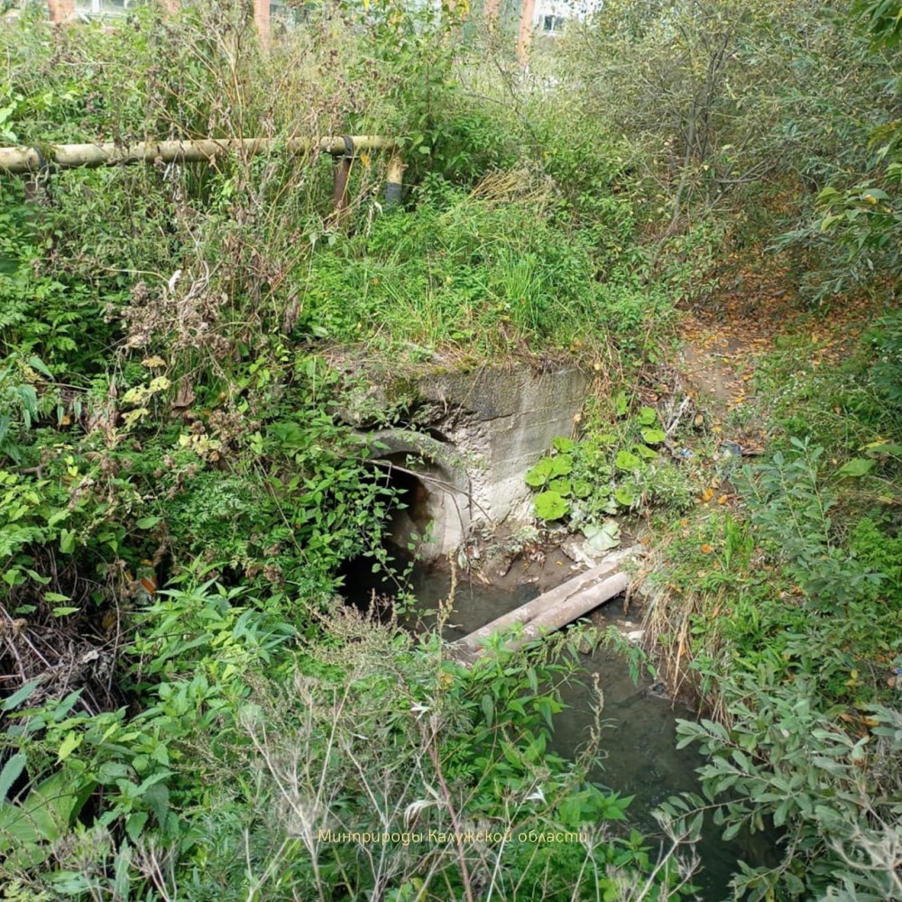 Жители Обнинска пожаловались на пену в реке