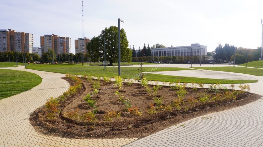 В Обнинске высадили 255 кустарников и три дерева