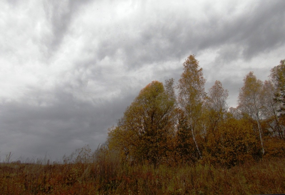 В понедельник тучи над Обнинском продолжат сыпать мелким осенним дождем