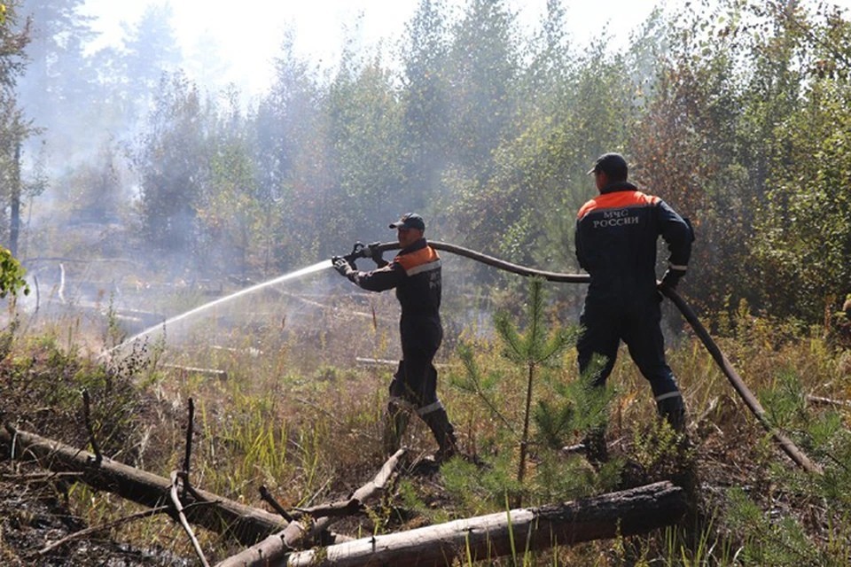 В Жуковском районе из-за пожара в доме едва не сгорел лес