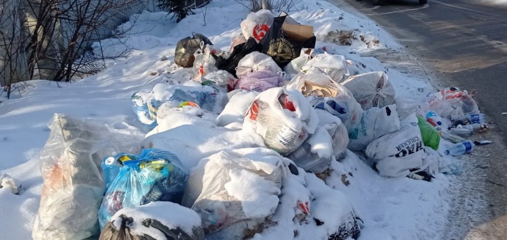 Чиновников обязали установить контейнеры для мусора в Калужской области