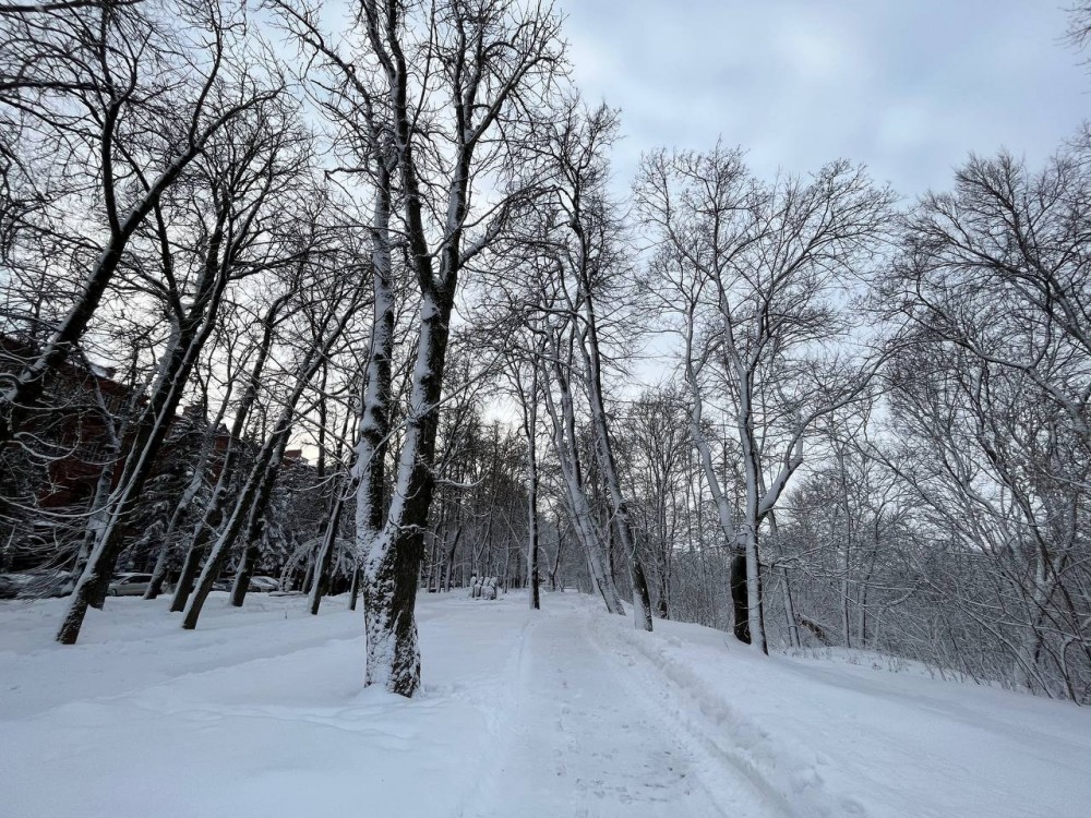 В Обнинске будет таять снег