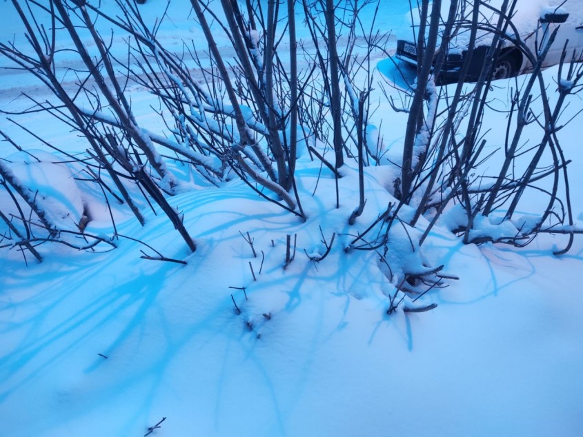 В Обнинске ожидается снег - Обнинск - Новости - Калужский перекресток ...