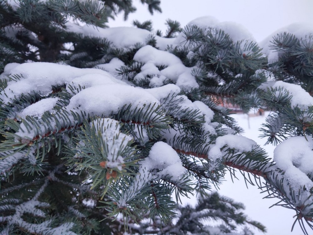 В Обнинске ожидается снег с дождем