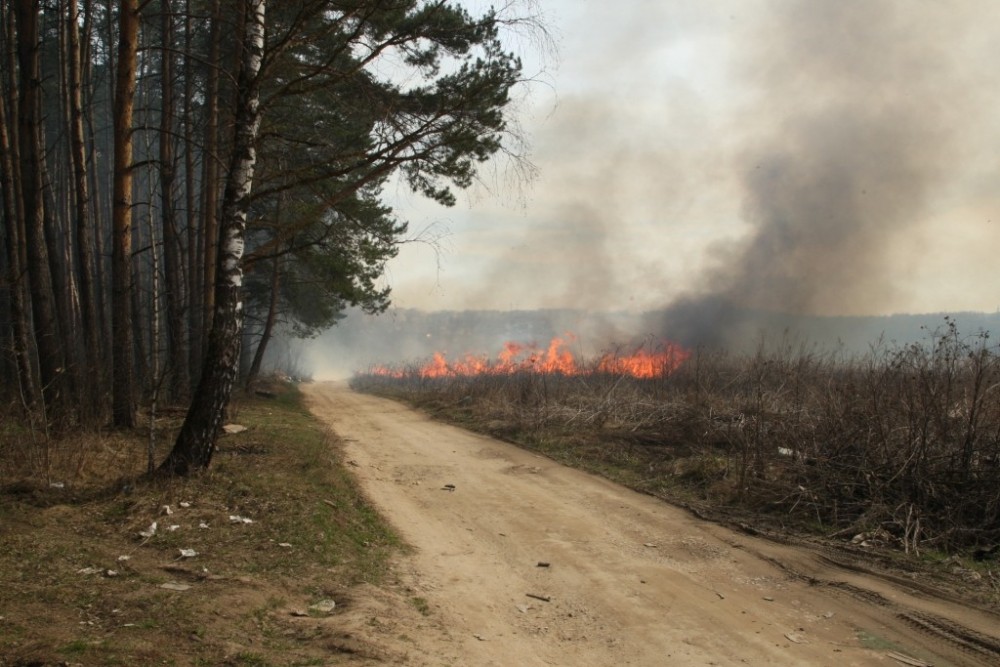 В Малоярославецком районе установлен 5 класс пожароопасности