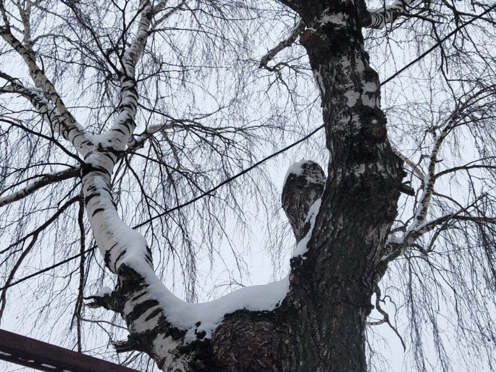 Мороз прогнозируют в Обнинске в последний день января