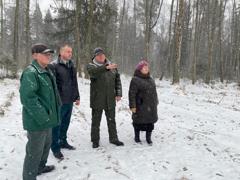 В Белоусово не подтвердилась информация о незаконной рубке деревьев
