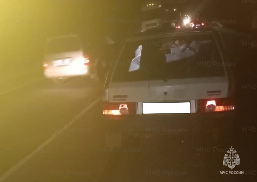 Женщина пострадала в столкновении «Лады» и лося в Калужской области ...