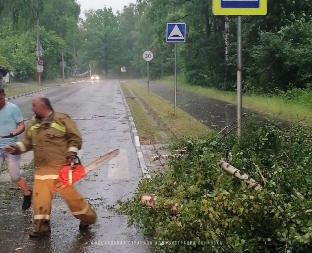 В Обнинске ураган повалил больше 15 деревьев