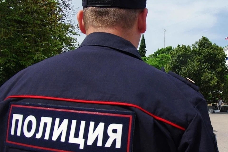 Житель Тверской области, протаранивший на машине обнинского полицейского, получил 6 лет колонии 