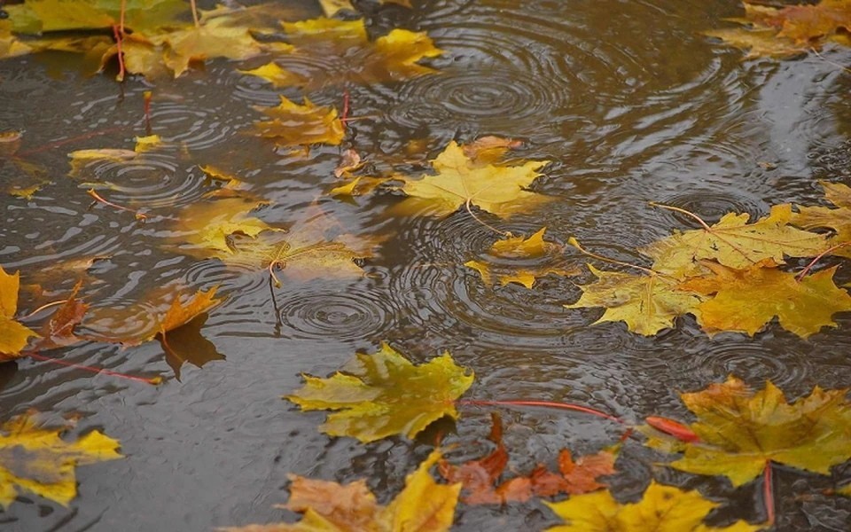 Октябрь в Обнинске начнётся с дождей  