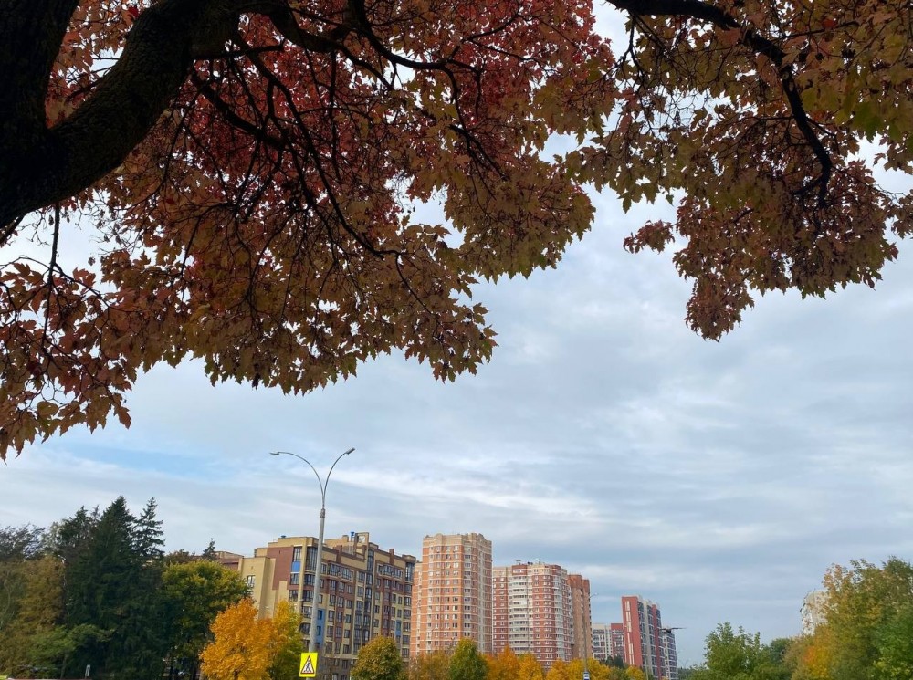Фотонастроение: осень раскрасила Обнинск красножелтым